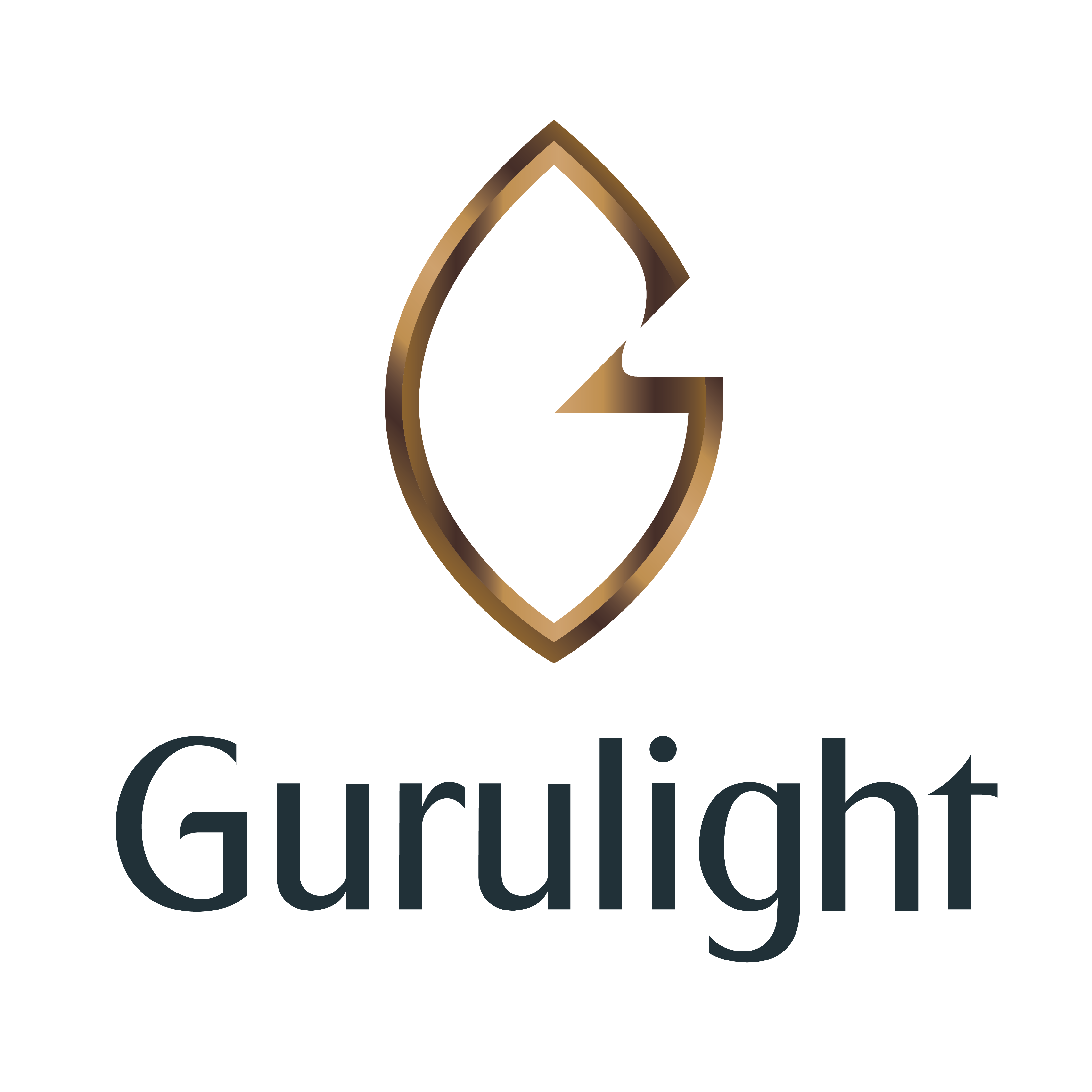 Gurulight_logo5